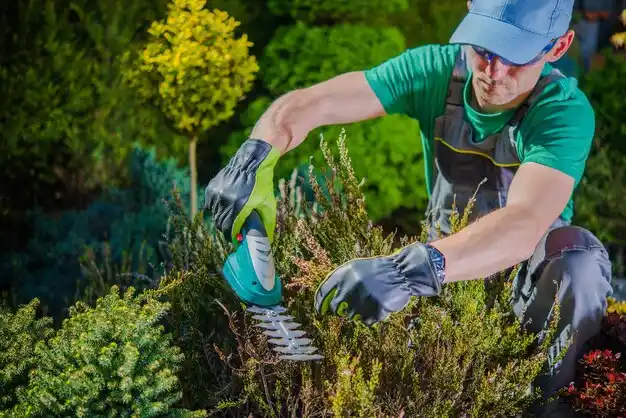 landscaping services Dolgeville